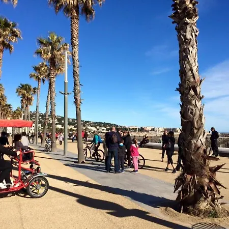 A Sete, 55m², Proche Plage, Parking, Wifi - Fr-1-338-511 Apartment *