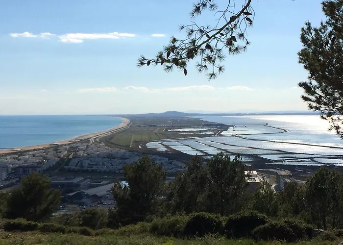 A Sete, 55m², Proche Plage, Parking, Wifi - Fr-1-338-511 Apartment Sète